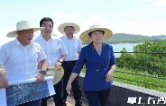 吴桂英调研生态绿心保护和南部融城片区建设工作