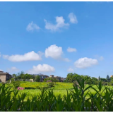 健身、遛娃、玩耍......金霞这些“口袋公园”，等你来打卡！