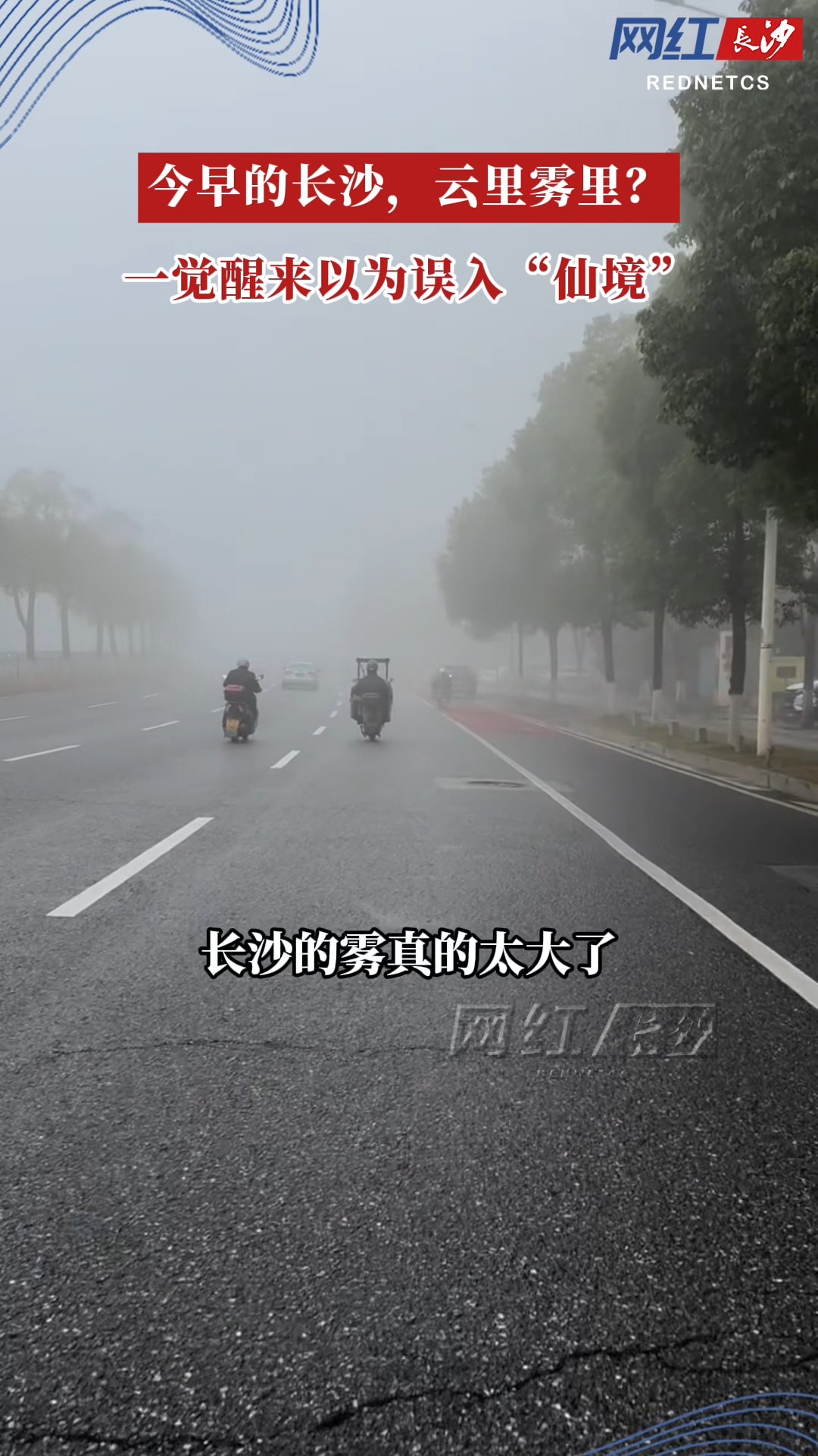 今早的长沙，一觉醒来误入“仙境”