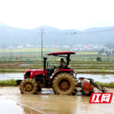 成本降低、效率提升，湘江新区春耕尽显“科技范”