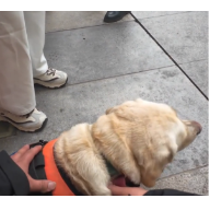 视“评” | 他的长沙行,治好了我的“城市冷漠焦虑”