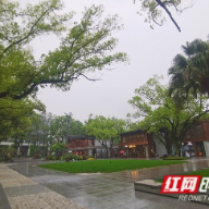 就在4月14日!来长沙看辛追夫人,不用傻傻在马路边排队了