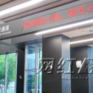 视频 | 烈士公园一键直通省博 快来get“追辛”指南！