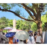 视频 | 2026年长沙首个高温预警来了！