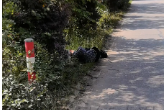 视频 | 老人迷路躺路边 陌生人伸出暖心之手