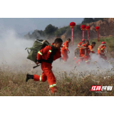 国际减灾日 雨花区森林灭火实战操演