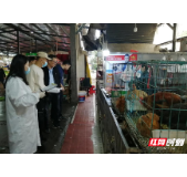 芙蓉区市场监管局开展农贸市场核酸抽样检测工作