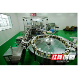 创新驱动，民企有后劲⑥｜九芝堂：智能制造铺就“中华老字号”的新进阶之路