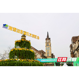 湘赣边首届花木博览会浏阳举行 17县（市区）共建林业生态圈