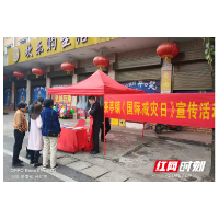 望城茶亭镇开展国际减灾日宣传活动