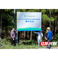 长江中游城市群共同认领“碳中和林”，长沙以实际行动迎“双碳峰会”