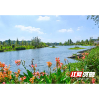 河畅水清两岸绿 河堤花香引蝶忙