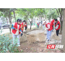 以党建带团建，让创建全国文明典范城市活动“热”起来