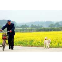 【待“宁”打卡】“黄金”遍地！宁乡这片油菜花海有点火！