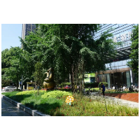 扮靓星城 城管深入开展市容环境整治和品质提升工作