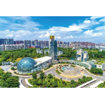 惠惠惠惠惠惠~4项助力自贸区建设政策，重磅发布！