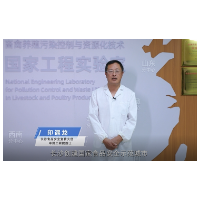 视频 | 共建食品安全城市 共享平安幸福长沙