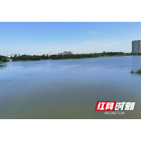 重污染天气零记录    长沙2020年生态环境成绩单亮了