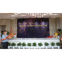 和世界企业对接，与国际科技同行