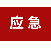 领会精神学深悟透 笃行实干牢记嘱托