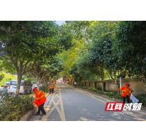 东湖街道开展迎国庆“大排查大整治大清洗”活动