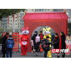 虎虎生威 共赴未来 博才云时代小学开学报到