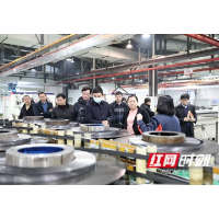 携手向未来！企业登门求教  导师倾囊相授