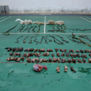 衡山公安成功侦破一起非法猎捕、收购、售卖野生动物案