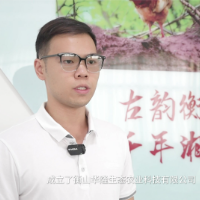 天下衡商·雁归来|刘嘉豪:父子归乡育“金羽” 重振“衡山湘黄鸡”