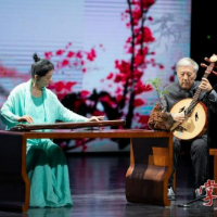 千年清音绕雁城,名家荟萃奏华章——“雁城琴韵 湘水清音”名家音乐会圆满落幕