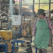 衡东南湾乡：人大力量为村级集体经济“强筋壮骨”