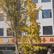 视频|橙衣守护 + 青春速撤！博文高中消防演练上演 “安全时速”