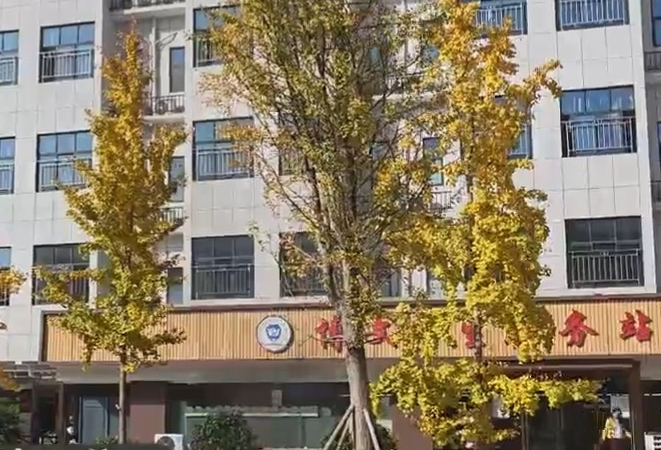 视频|橙衣守护 + 青春速撤！博文高中消防演练上演 “安全时速”