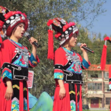 衡阳县:第十三届乡村音乐会激情奏响 共绘乡村文化新画卷