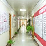 天下衡商·商会志｜十年锻造“产业集团军”，衡阳青商会是这样炼成的