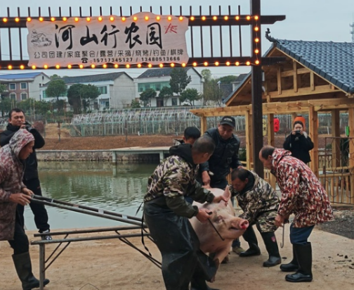 衡州年味|石鼓区：腊八暖宴话丰年 共品粥香与“杀猪饭”