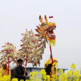 衡阳县:九市稻草龙闹新春 非遗巡游年味浓