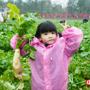 组图｜拔萝卜、干塘摸鱼、逛年货集市勾勒衡阳乡村年味画卷