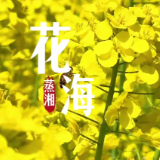 视频 | 走，去雨母山！赴一场关于春天的“金色约会”