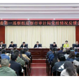 衡阳市委第一巡察组巡察市审计局党组情况反馈会议召开