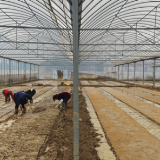 湖南衡东：春耕时节“新事”多 田间尽显科技范