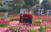四季花海“出圈” 村集体经济“结果”！石鼓区以优质项目激活乡村发展新动能