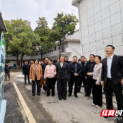 票决民生实事落地见效 雁峰区人大代表实地“检阅”暖民心