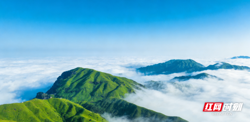 湖南衡山:雨歇云生如仙境,云海翻腾入画来