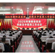 衡阳县召开2026年医政药政中医药工作会议  聚力提升医疗服务质量