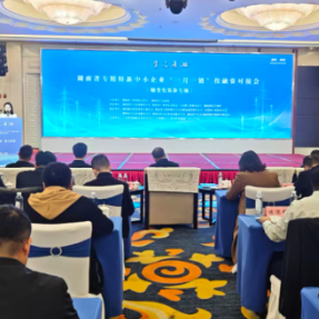 湖南省“一月一链”投融资对接会（输变电装备专场）在衡阳举行