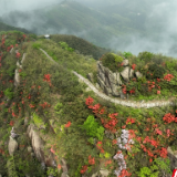 组图 | 文旅部推介“五一”旅游 南岳衡山杜鹃花上榜