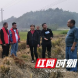 桃花江镇秸秆禁烧巡查队在行动