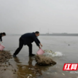 益阳市资阳区法院执结区首例公益诉讼案件