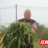 视频 | 益阳赫山：乡邻携手奔小康